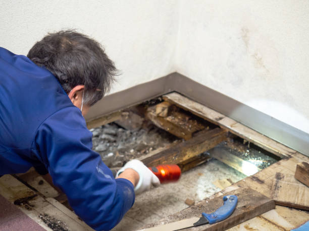 Crawl Space Mold Removal in Clinton, SC