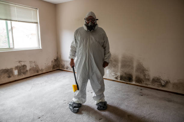 Clinton, SC Mold Removal Company